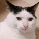 就是喜欢甜点的小宁啊i