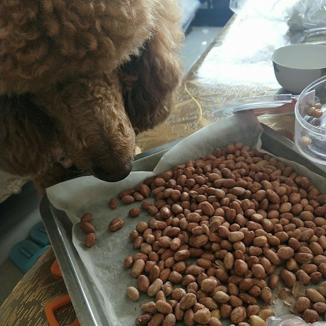 烤箱花生米-十分钟烤出香脆花生米