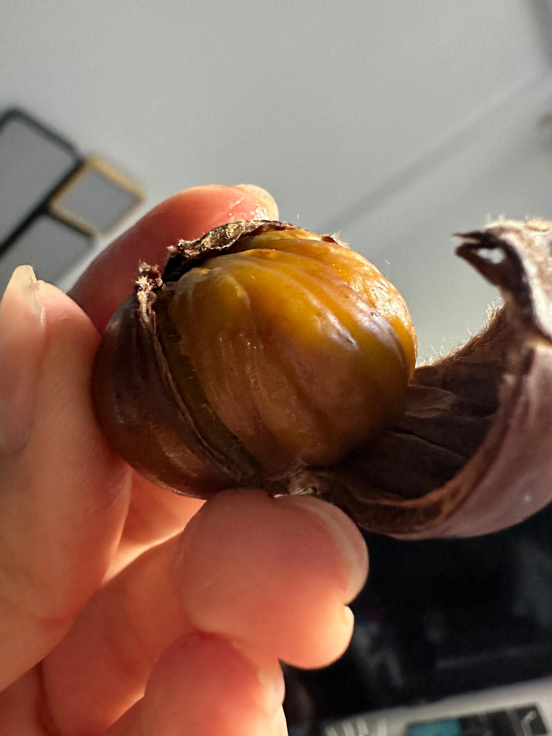 ‼️香甜软糯‼️轻松好剥㊙️烤箱版糖炒栗子