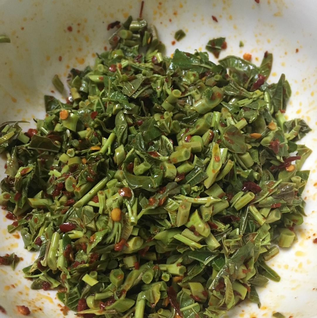 油辣香椿