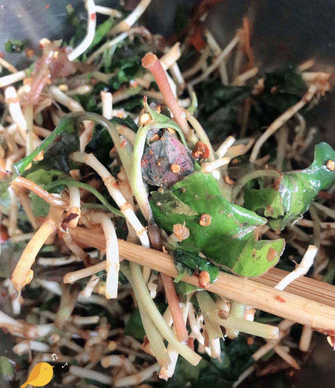 贵州凉拌折耳根