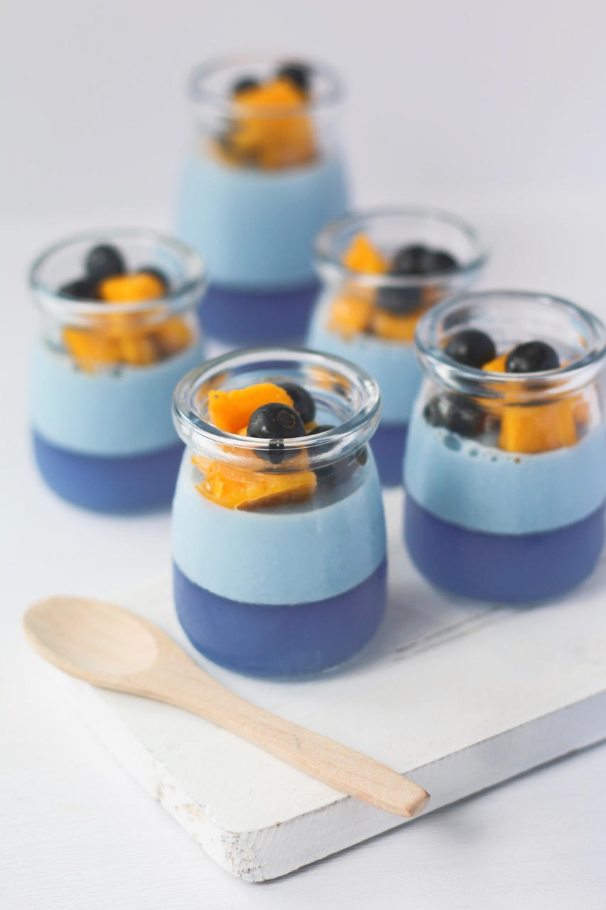 梦幻星空双层布丁