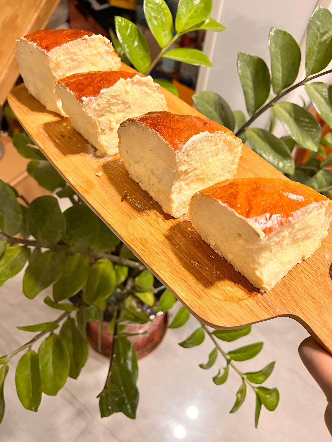 一直被催做的奶酪包来了，汤种法柔软酸甜