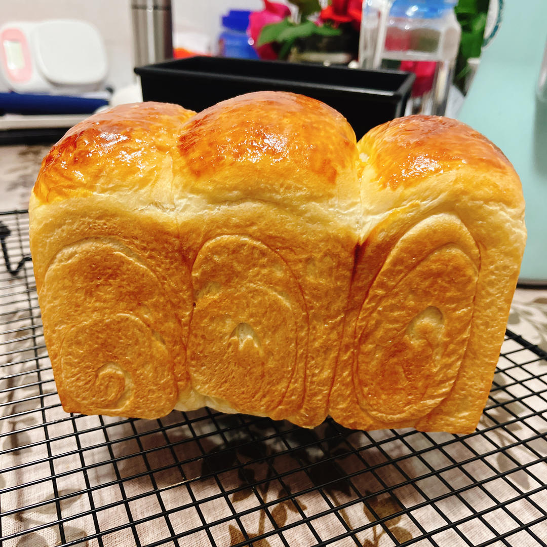 100%中种冷藏发酵