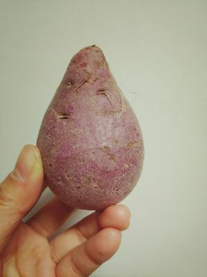红豆薏仁紫薯粥的做法 步骤2
