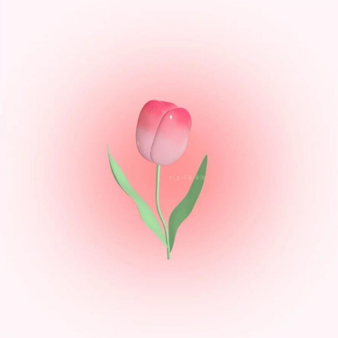 李大大A7