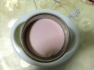自制草莓味酸奶（免牛奶版）的做法 步骤6