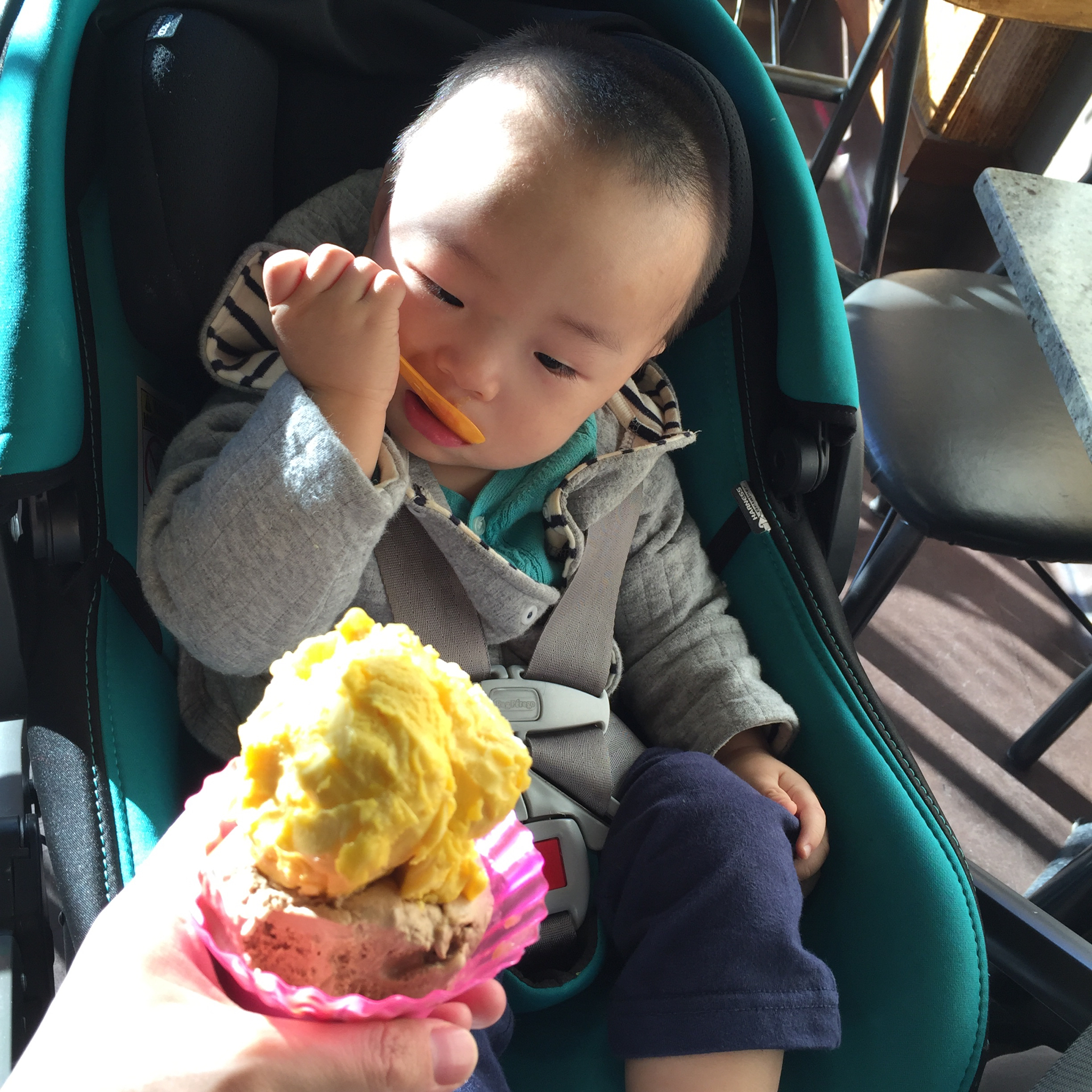 Ollie的辅食