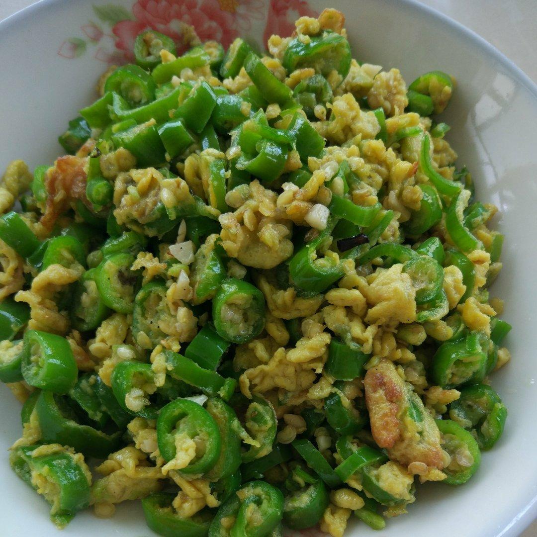青椒炒蛋 米饭杀手 下饭