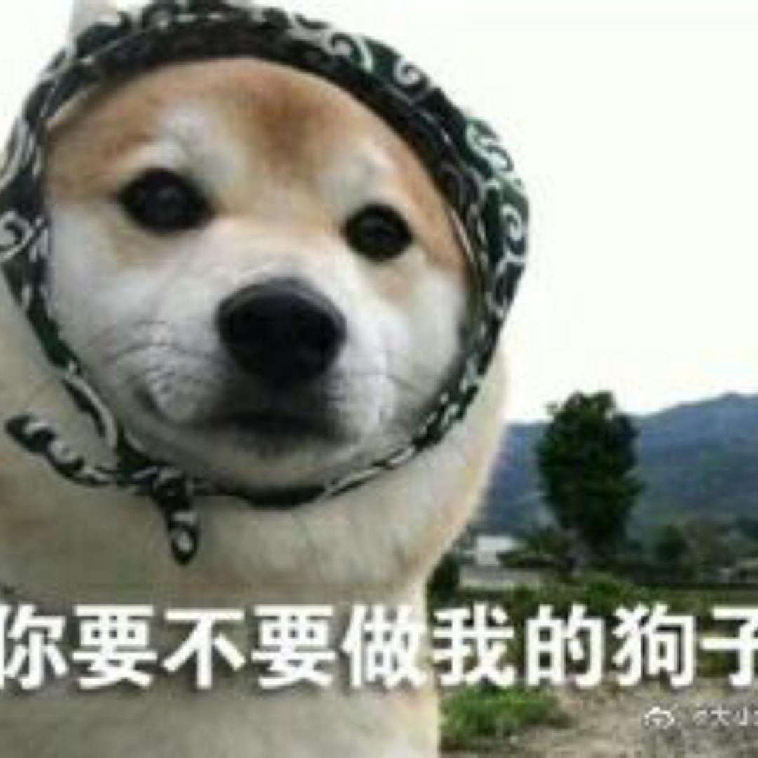 我我我不会