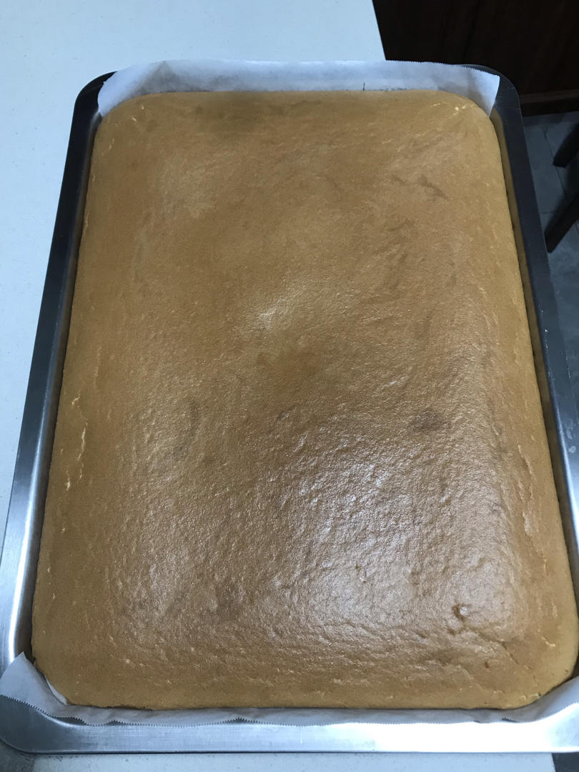 葡萄干蛋糕条