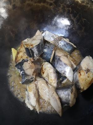 铁锅炖鲜鲅鱼（鲅鱼最快手最好吃的做法）的做法 步骤8