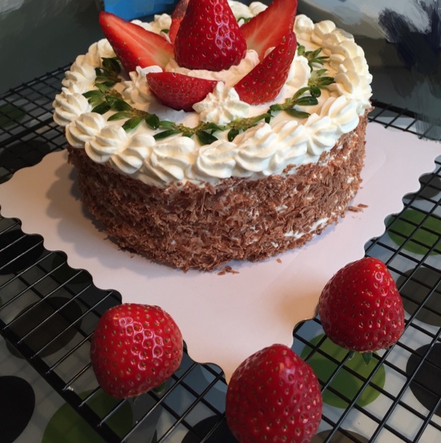 6寸可可戚风 黑森林