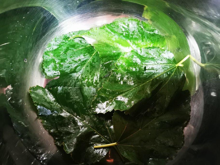 自制好吃的不要不要的油糟鱼（糟各种鱼都适用）