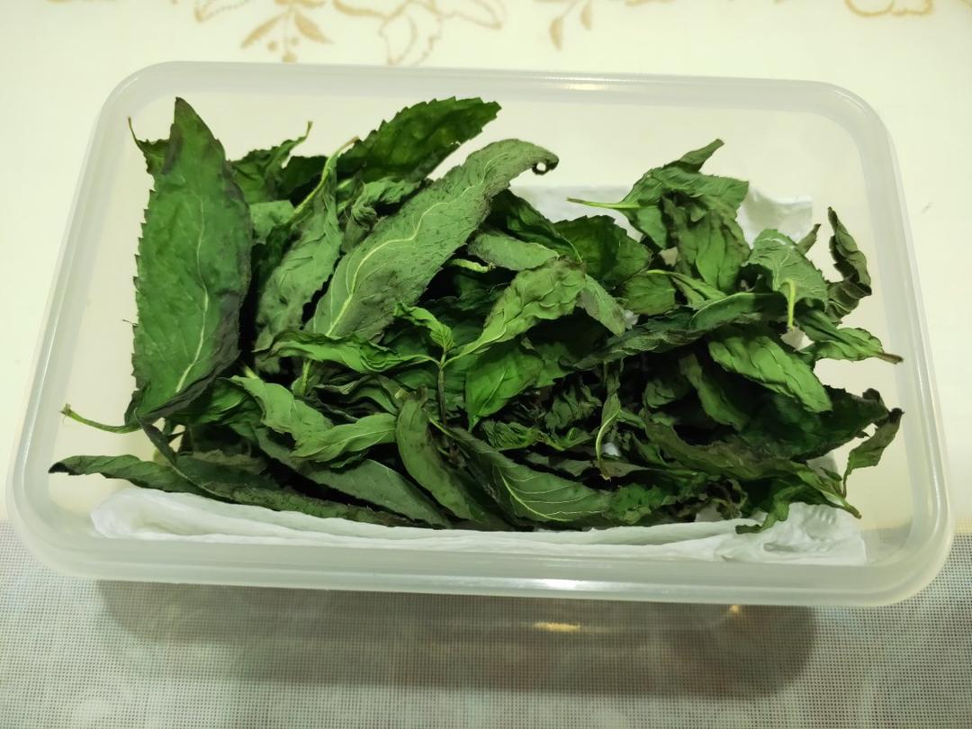 薄荷干