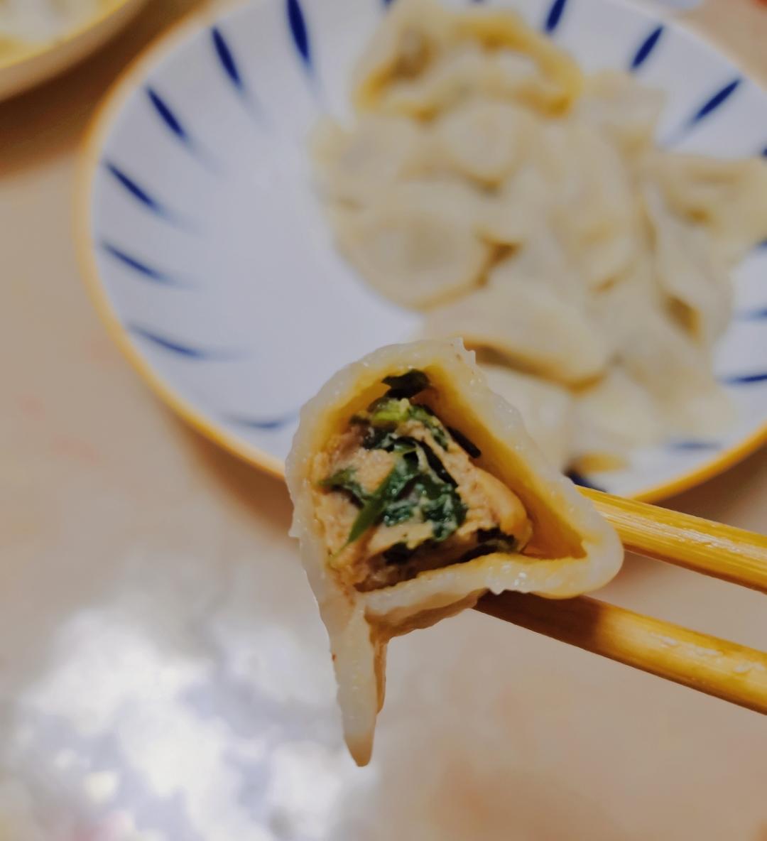 万能饺子馅❗️今天做韭菜肉馅饺子，巨好吃！