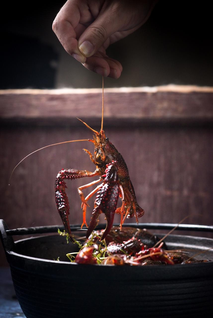 金湖蒜泥龙虾