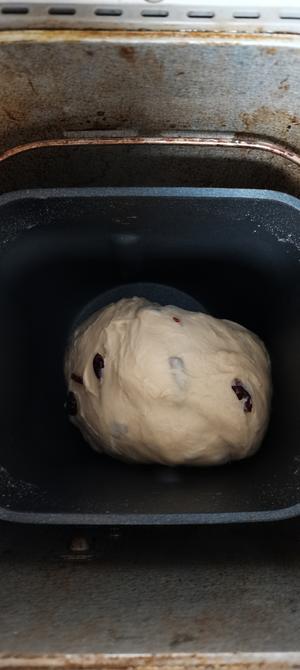 松下面包机奶油蔓越莓面包的做法 步骤2