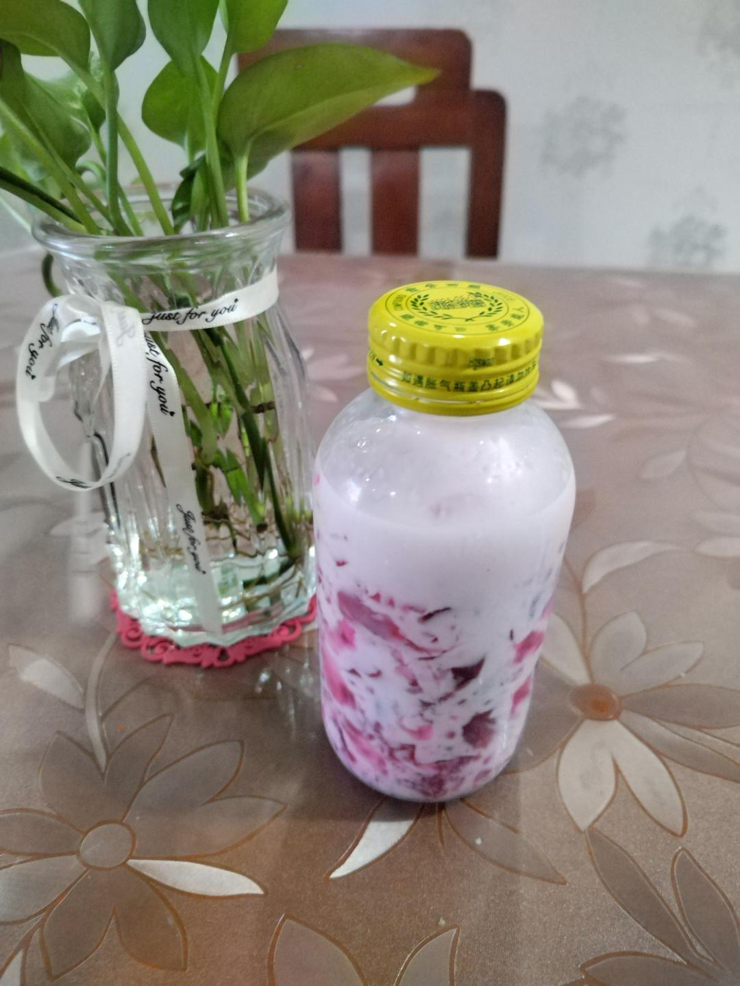 白凉粉版火龙果撞奶（夏天必备）