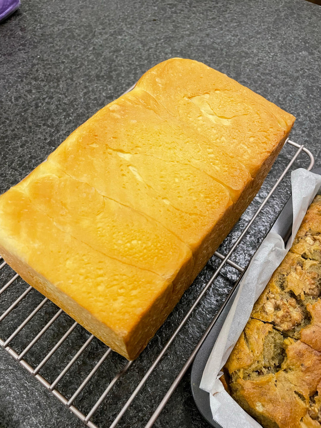 奶香吐司🍞（波兰种）