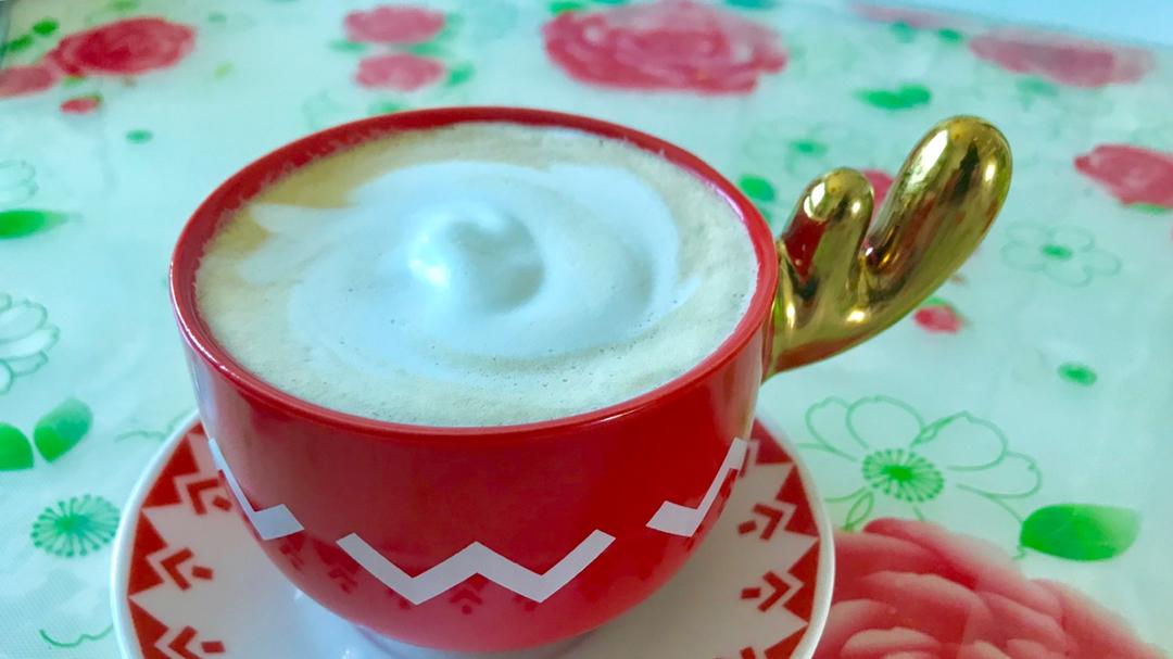 用法压壶压一壶咖啡French Press