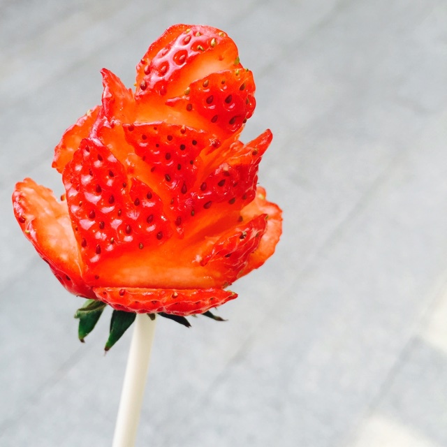 草莓玫瑰花
