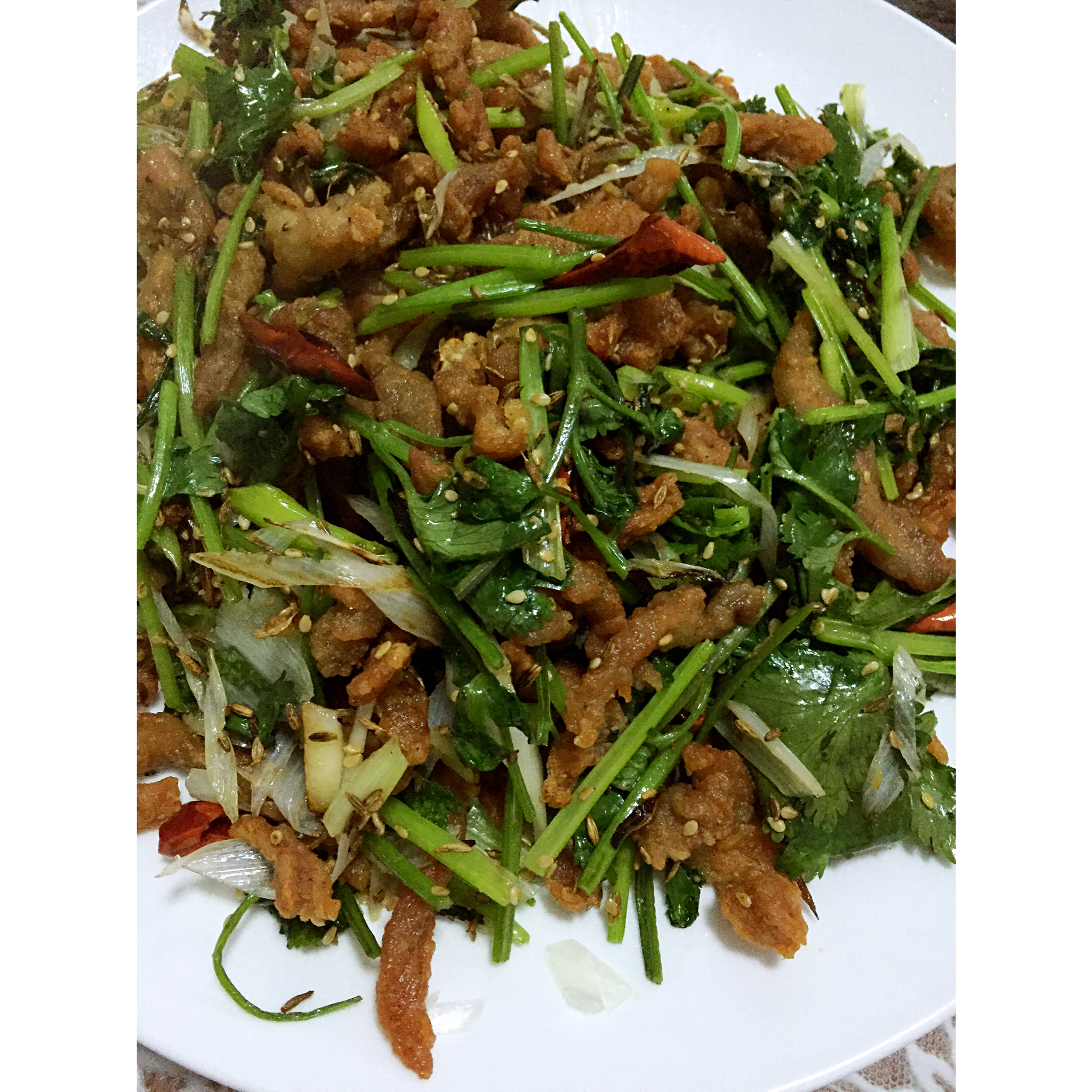 香辣肉丝