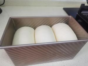 牛奶吐司面包的做法 步骤15
