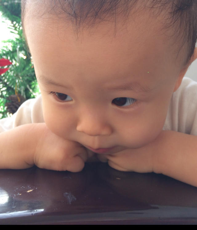 宏蕾