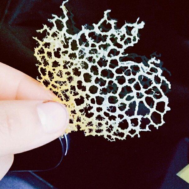 宇宙无敌超级可爱的阿仔啦做的珊瑚糖片~老外chef私藏完美甜点装饰