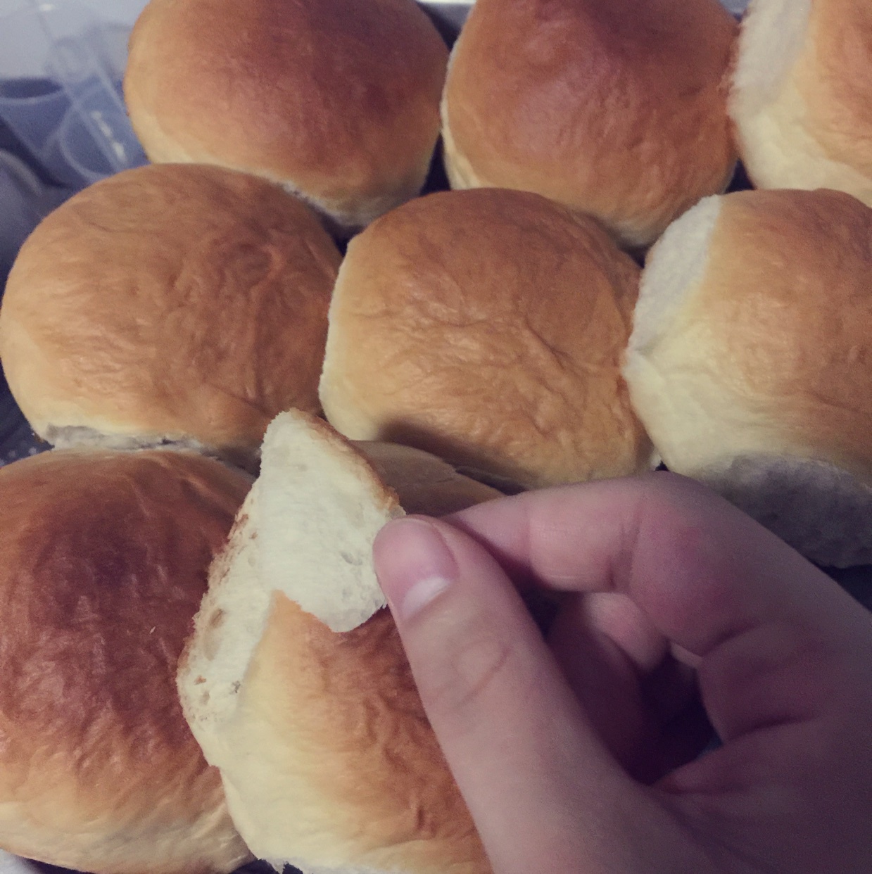 蜂蜜淡奶油面包#美味排包#