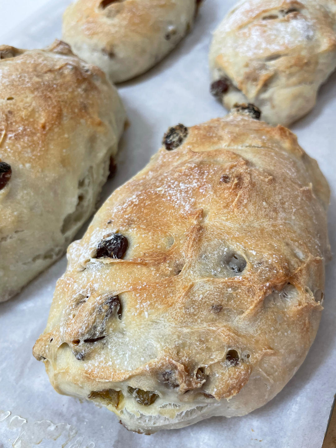 全麦坚果蔓越莓欧包~隔夜发酵