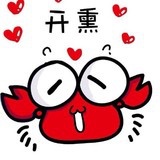 尔东星星