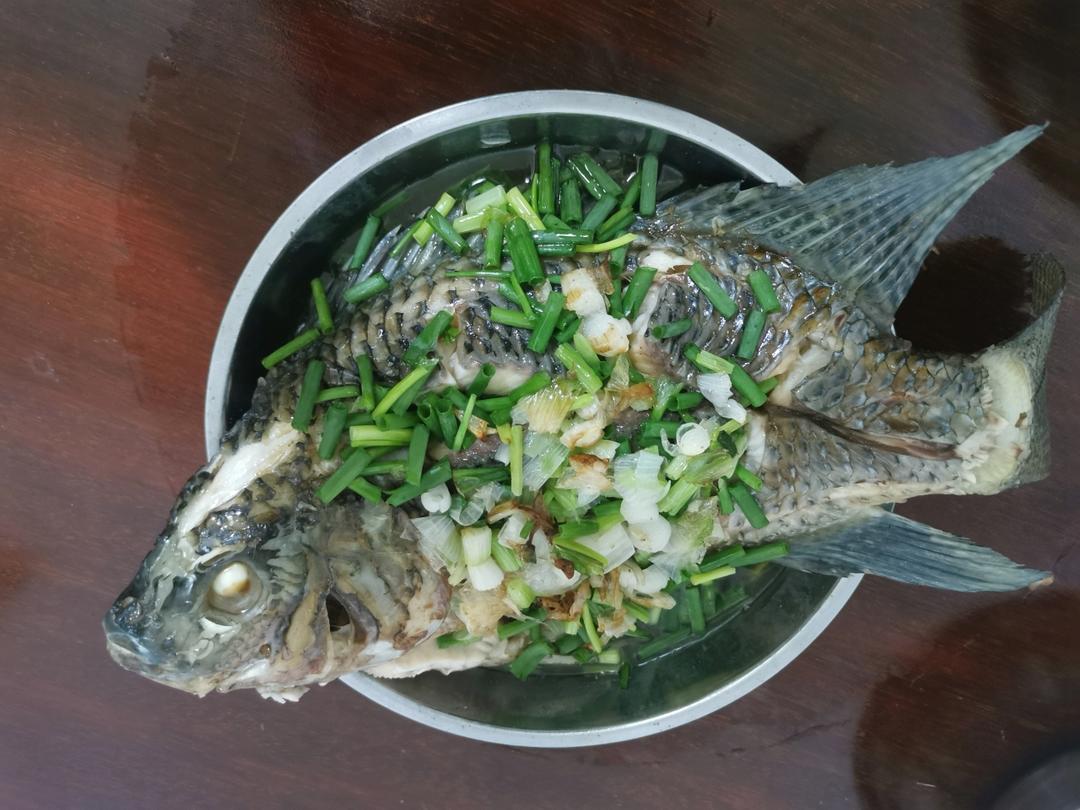 【清蒸鱼】超快速，10分钟搞定，靠它虏获老公的胃
