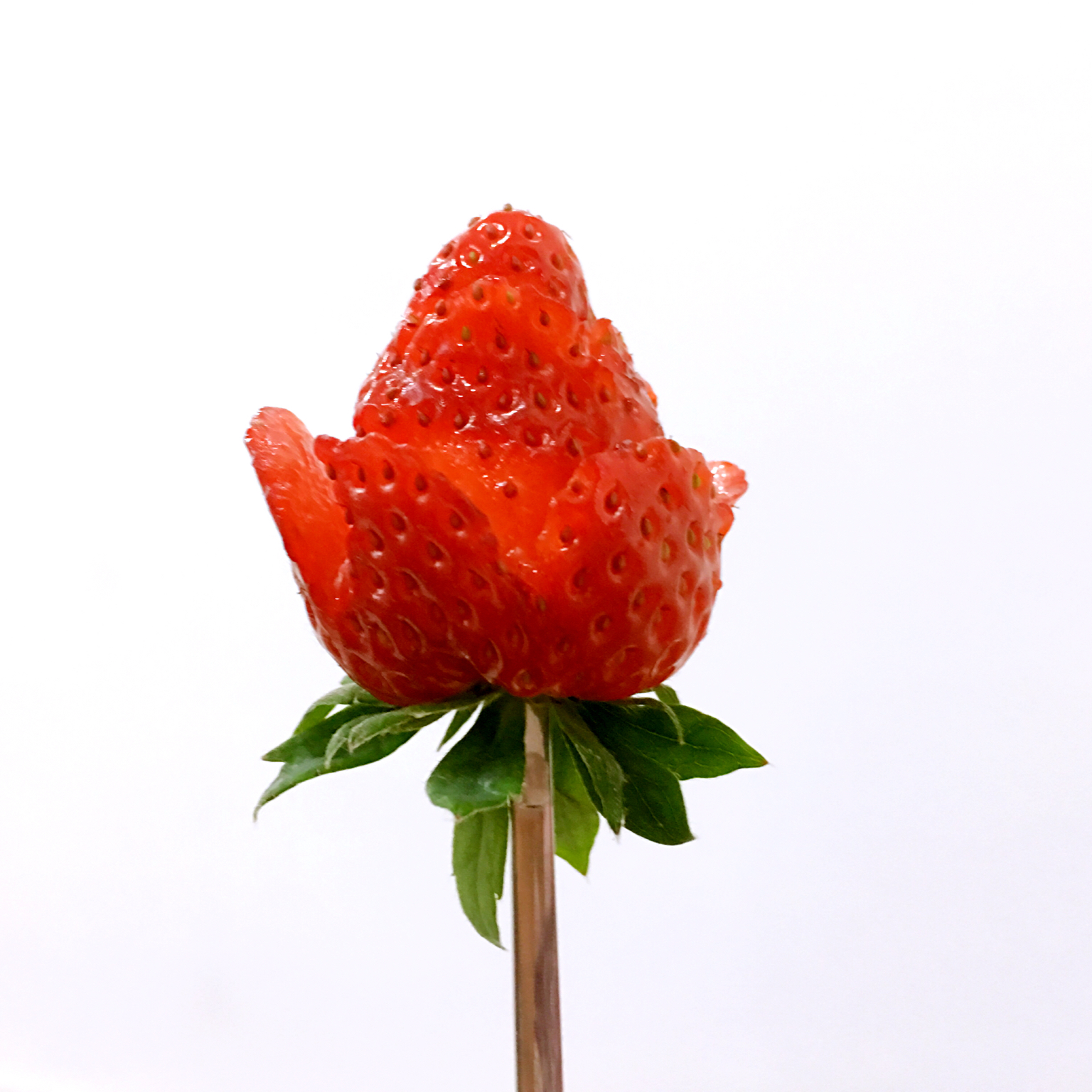 何田田做的草莓玫瑰花