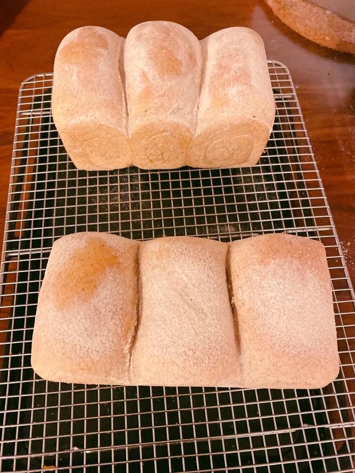 鲁邦种老面全麦吐司