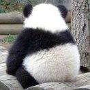 page_gzqm