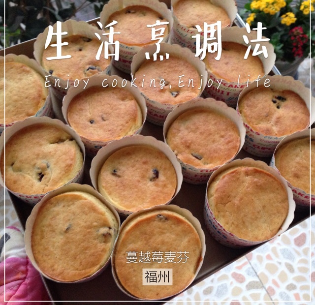 0失败的葡萄干麦芬