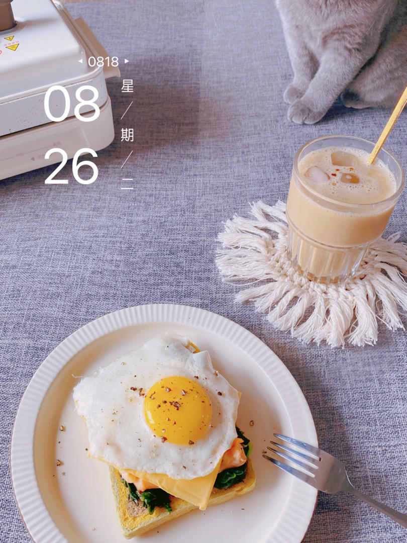 全麦三文鱼菠菜三明治 附超详细的包三明治大法｜#Healthybreakfast#