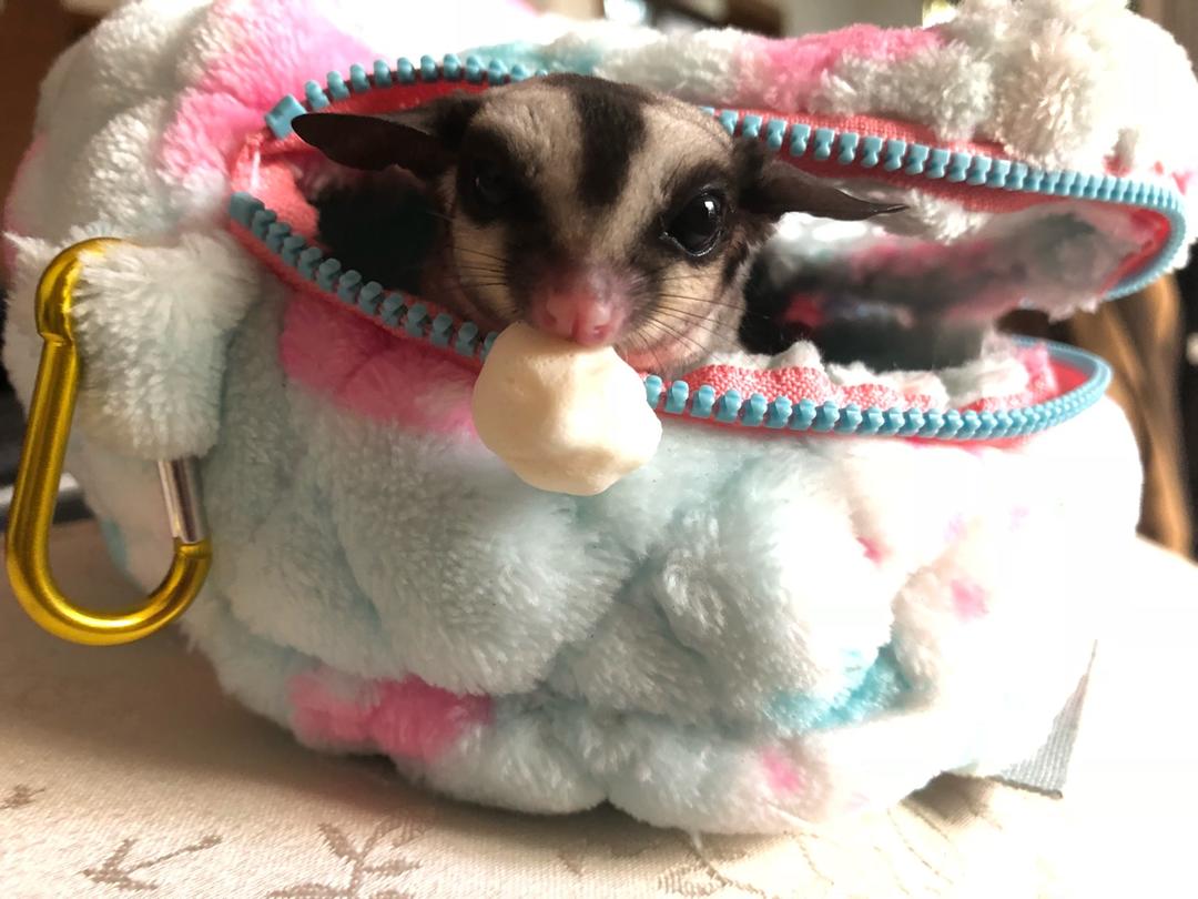 安慕希酸奶溶豆