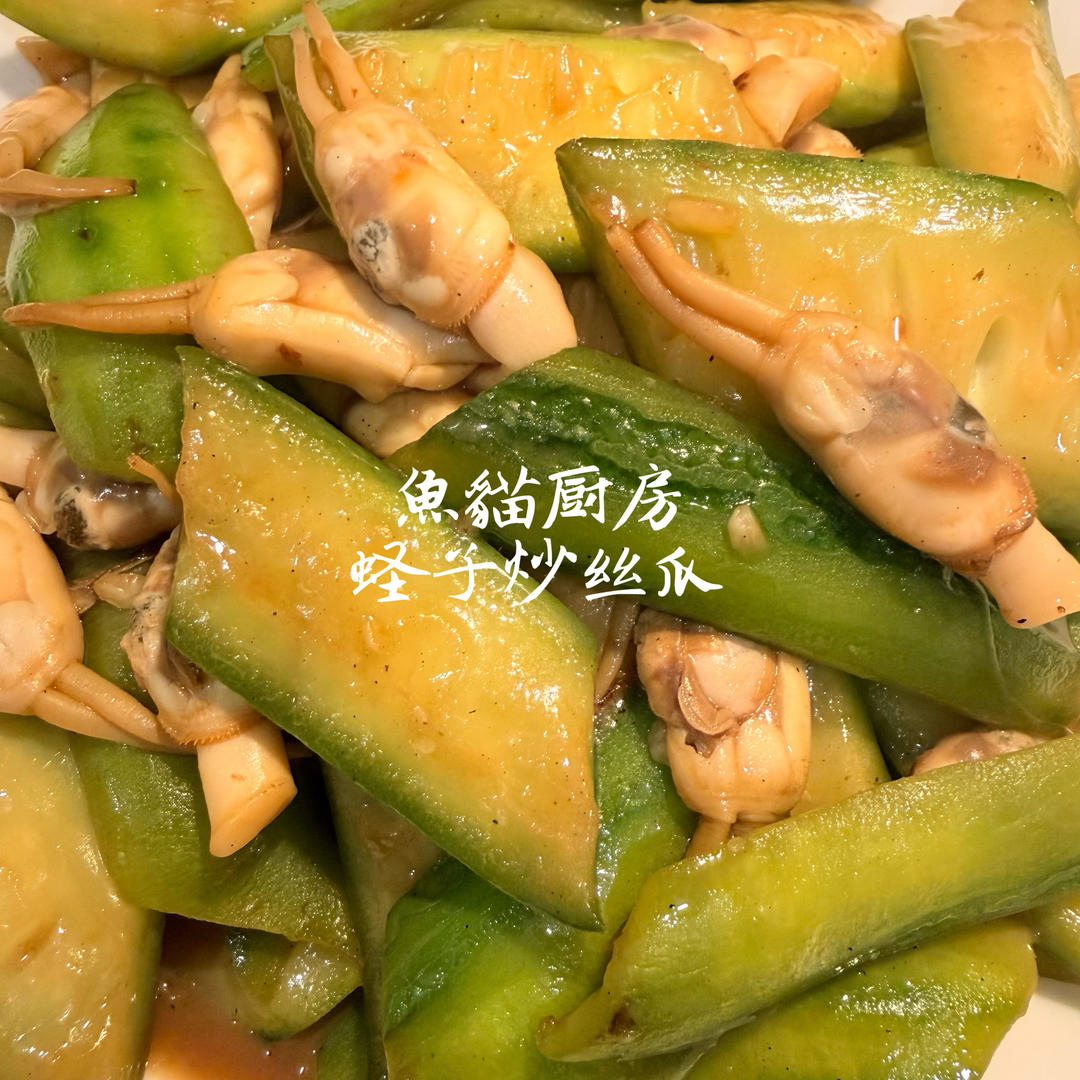 🥒蛏子煮丝瓜🥒—夏日炎炎快手菜❗️有肉有瓜简单易煮❗️