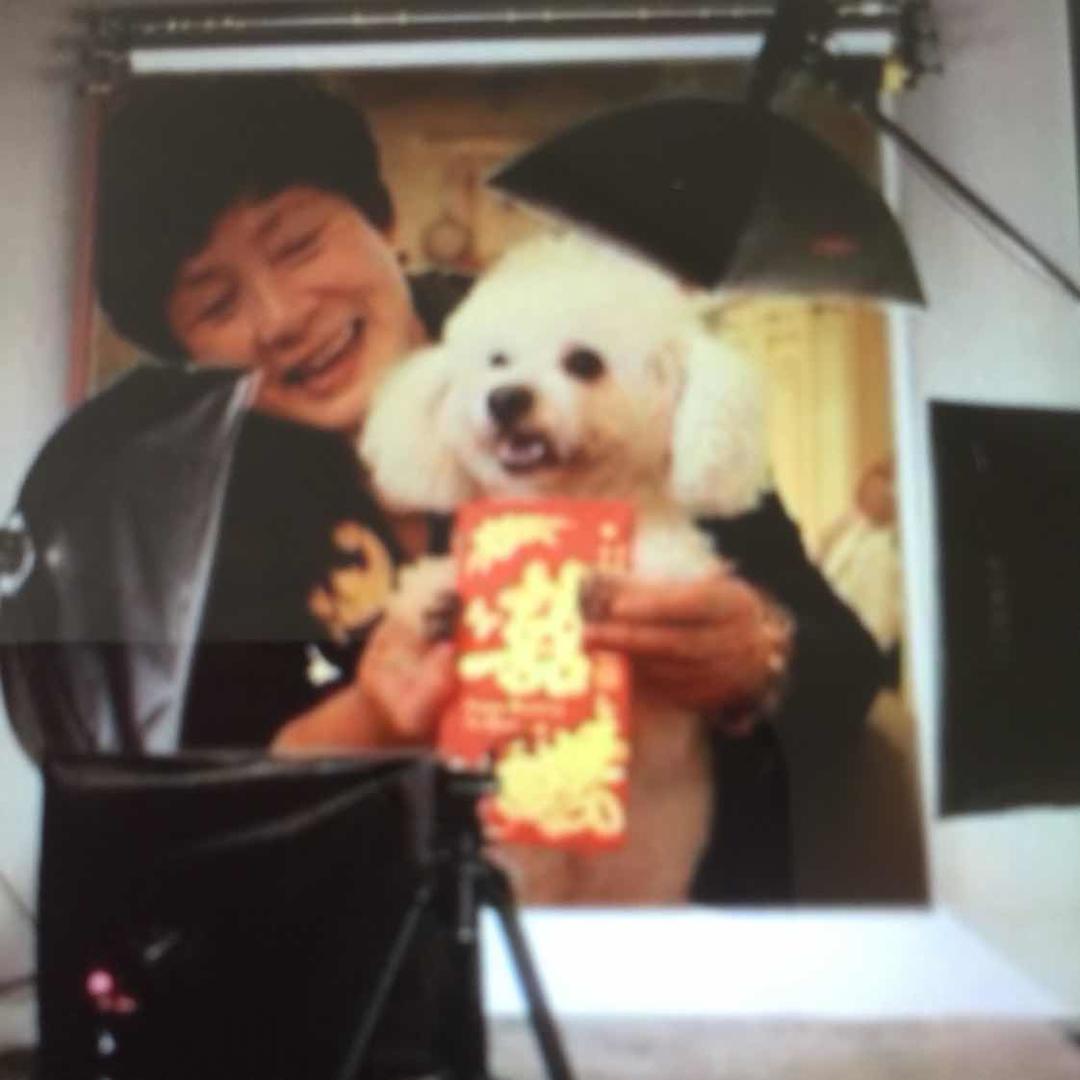 手机用户2888_96dh