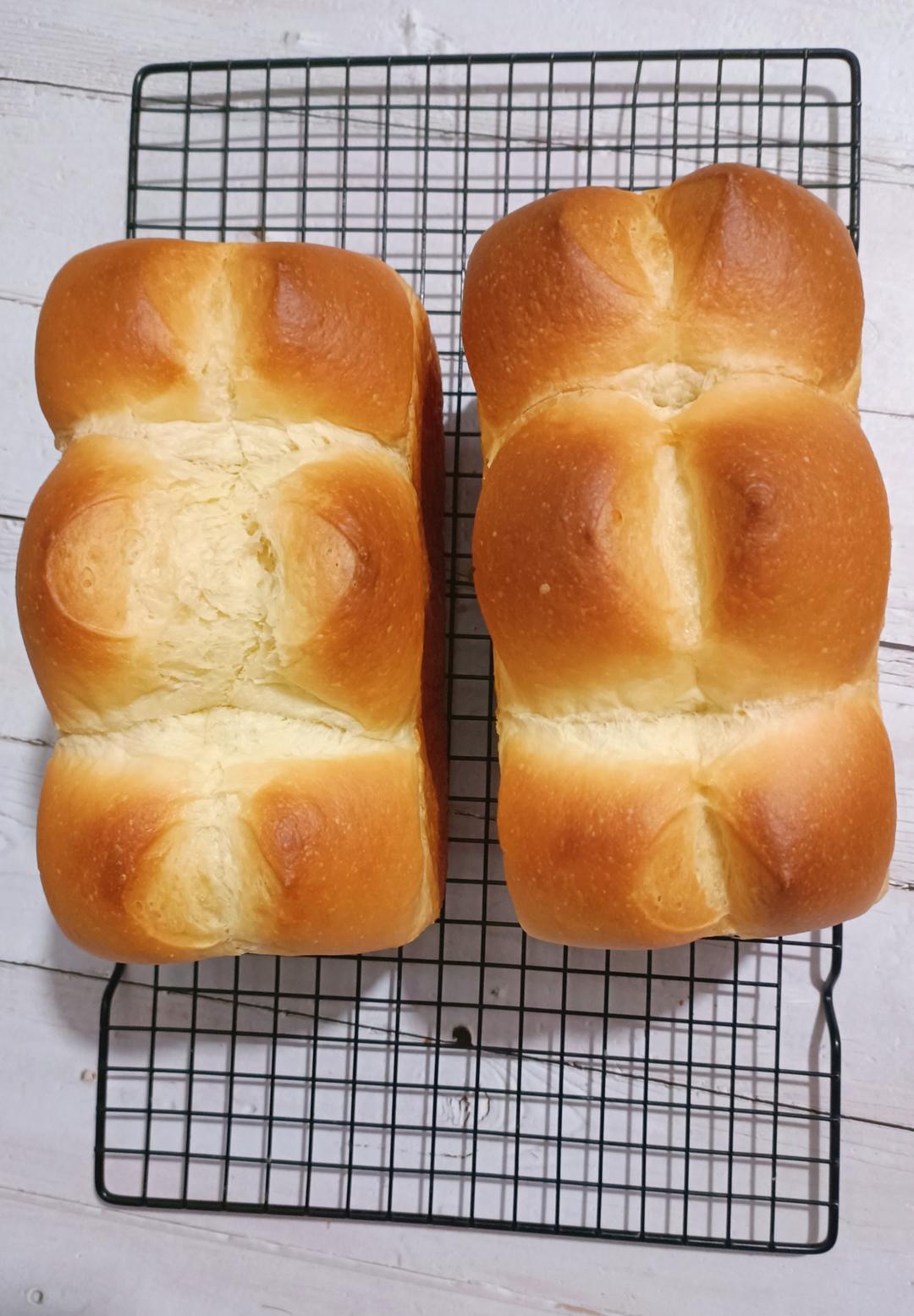 椰浆吐司🍞一次发酵