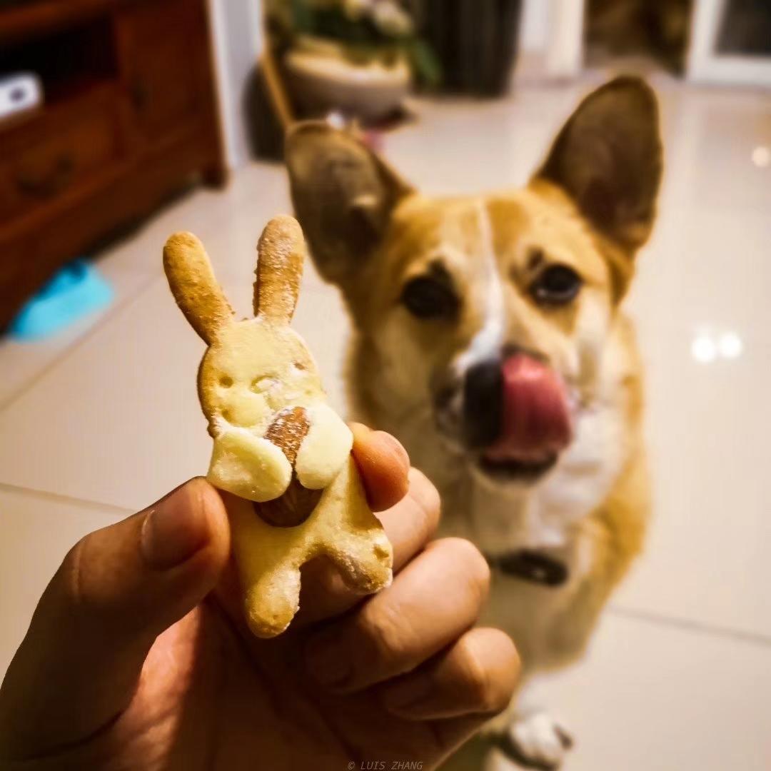 小熊抱杏仁饼干