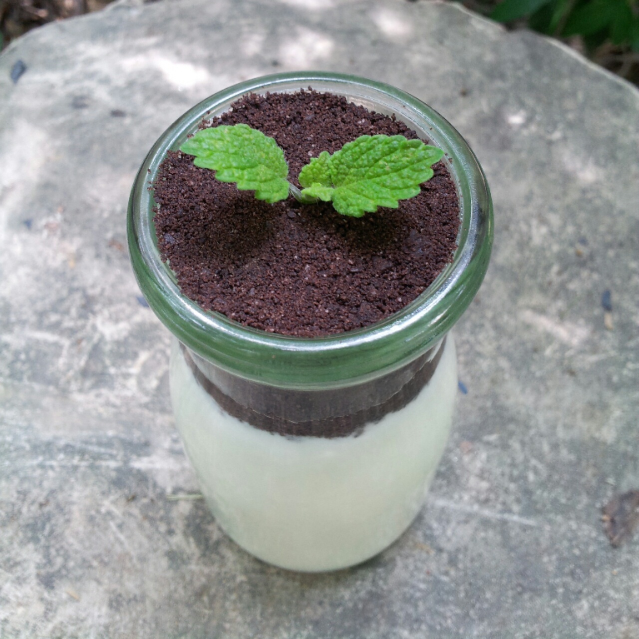 云游四方南边曲做的盆栽酸奶