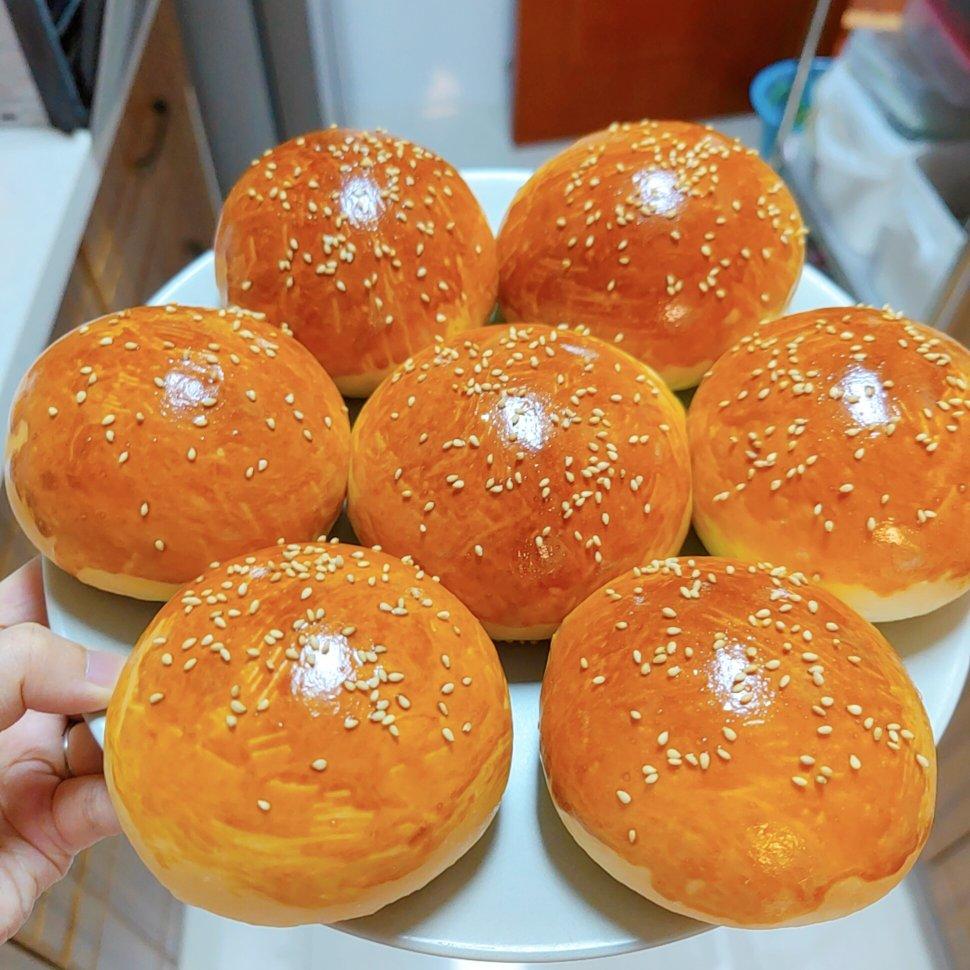 汉堡胚（中种法）