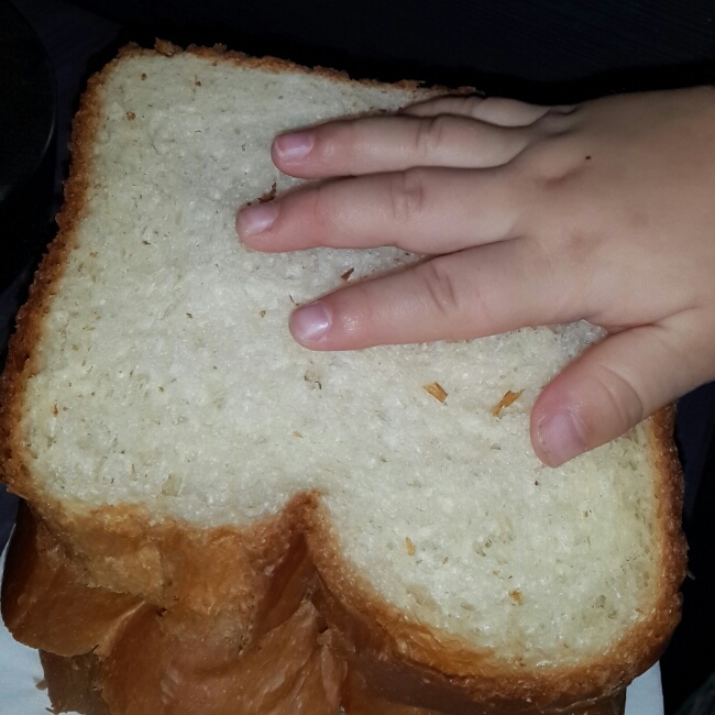 面包机版原味吐司