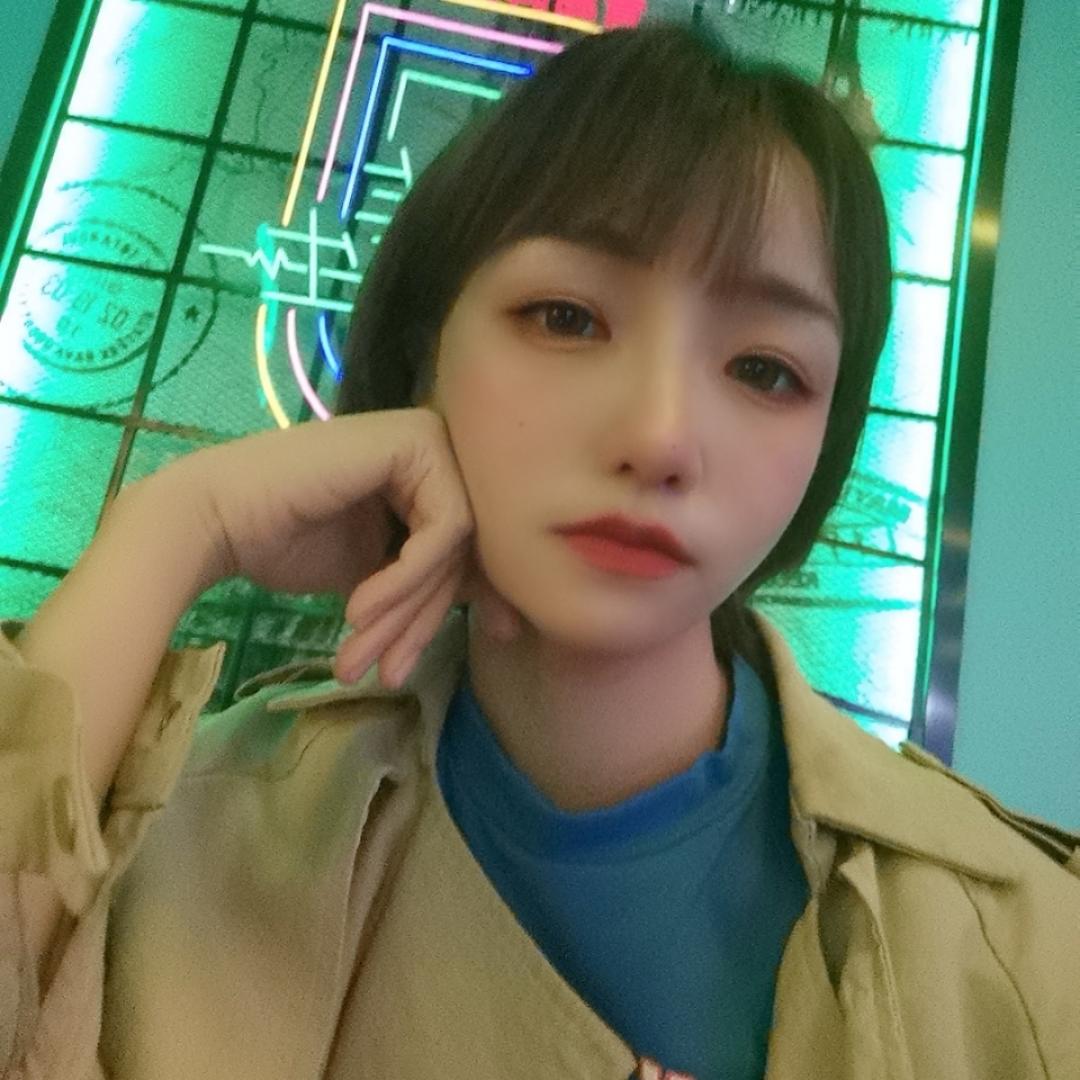 我們一起追的小綿羊