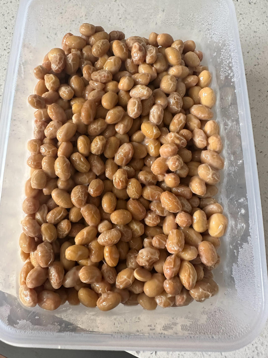 自制纳豆（酸奶机，面包机，烤箱版）