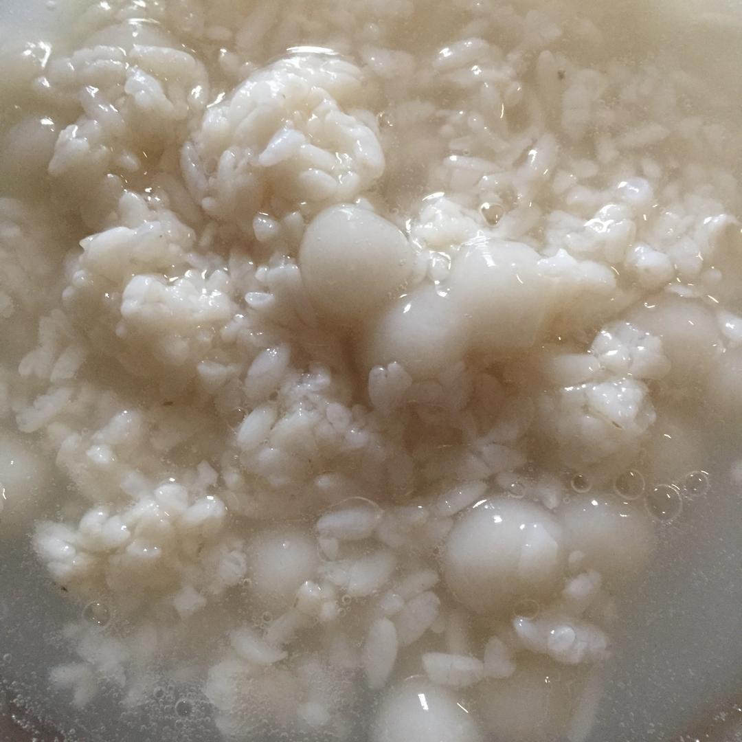 米酒，酒酿，醪糟